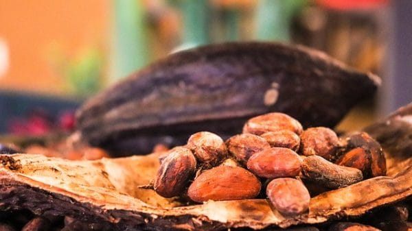 Przeterminowane kakao – czy jest bezpieczne do spożycia
